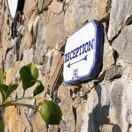 Al Terra Di Mare Levanto