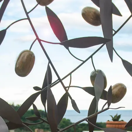 Al Terra Di Mare Hotel 4*