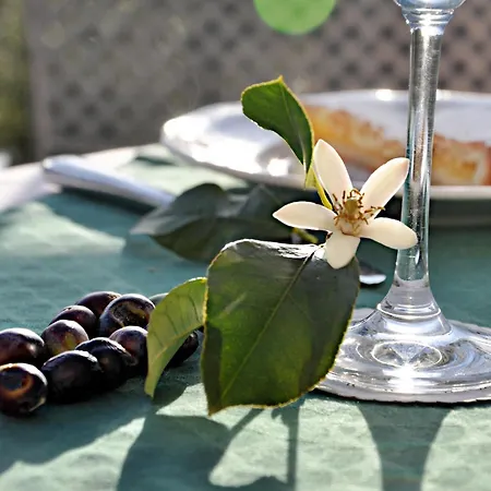 Al Terra Di Mare לבנטו