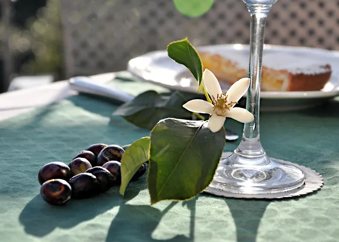 Al Terra Di Mare Леванто